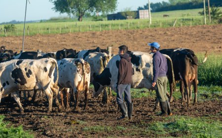 Ya son 26 escuelas agrarias las que aplicarán nuevos proyectos educativos de convivencia