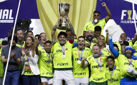 Brasil: Palmeiras, Flamengo y Atlético Mineiro campeones estaduales