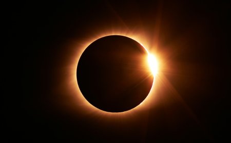 Galería de imágenes: el eclipse solar que recorrió América del Norte