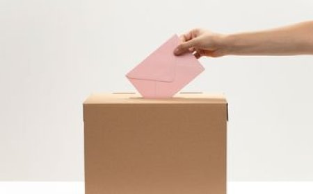 Elecciones 2024: ¿saben los votantes cuándo son las internas?