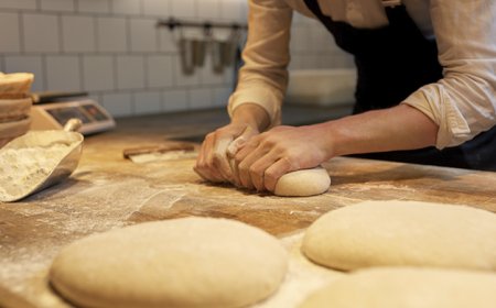 UTU convoca a mayores de 21 años a inscribirse para acreditar sus saberes