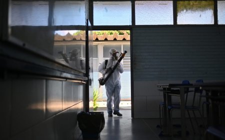 Este viernes se superaron los 500 casos de dengue