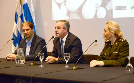 Nueva plataforma ofrecerá información accesible sobre medicamentos