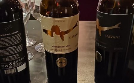 Cavani presentó sus vinos y eligió como modelo a… Cavani