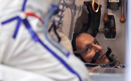 Hibernación humana para explorar el espacio, ¿ciencia ficción o futura realidad?