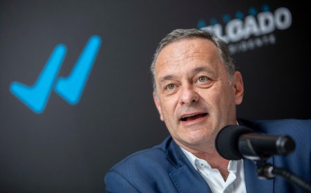 Delgado apuntó contra el plebiscito por la seguridad social