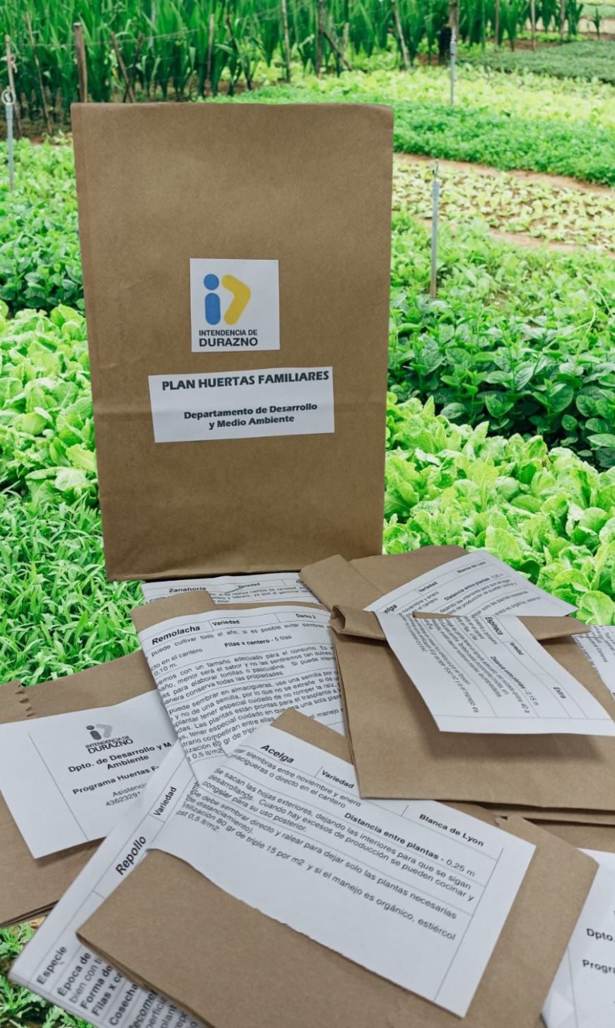 Sábado: entrega de semillas en los Centros de Integración Barrial