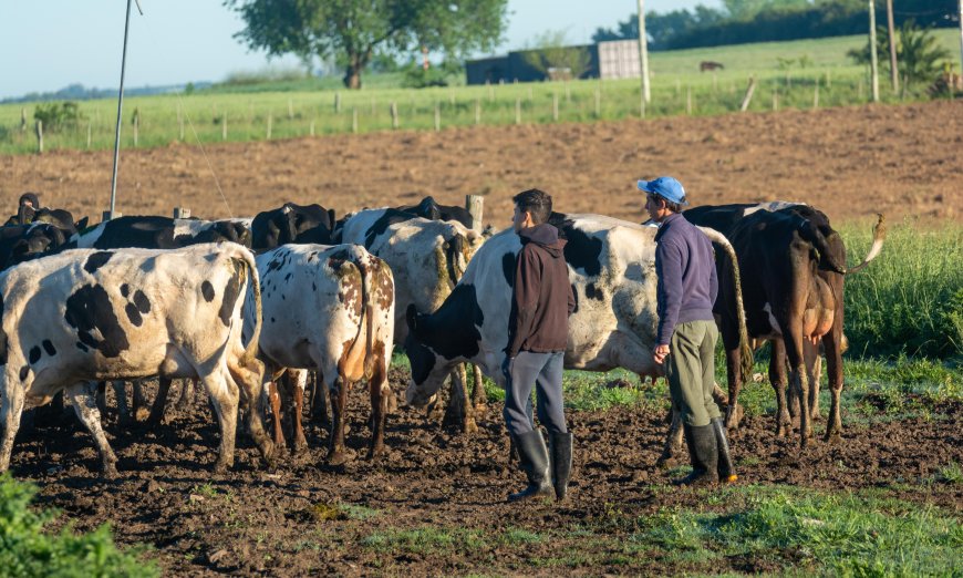 Ya son 26 escuelas agrarias las que aplicarán nuevos proyectos educativos de convivencia