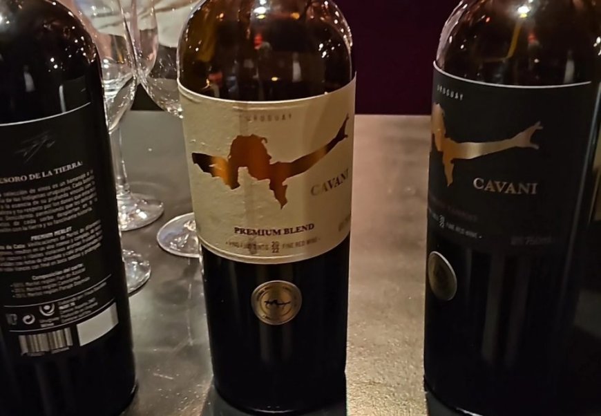 Cavani presentó sus vinos y eligió como modelo a… Cavani