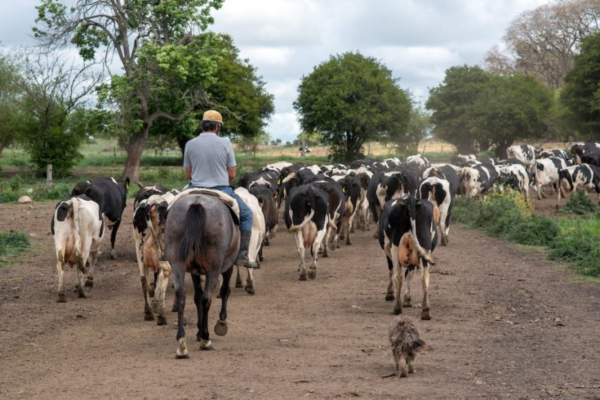 Este martes se celebra el Día del Trabajador Rural