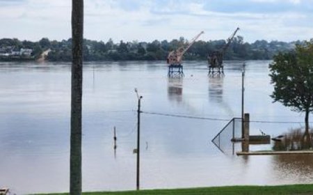 Peligra la soja por las inundaciones y la ARU advierte por "pérdidas importantes"