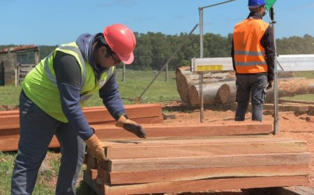 Escuelas Agrarias de UTU pasan de déficit en 2019 a ganancia de más de 1 millón de dólares