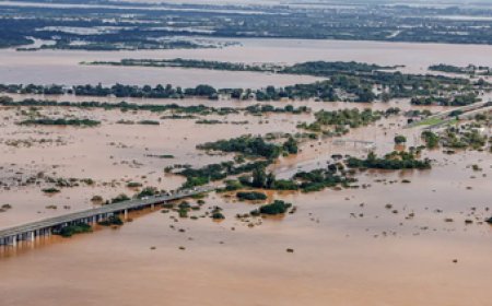 Brasil autorizará la importación de arroz desde Uruguay por las inundaciones