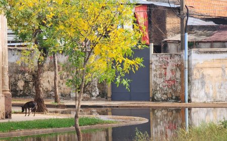 Desplazados por inundaciones siguen en aumento: 2.184 en 10 departamentos del país