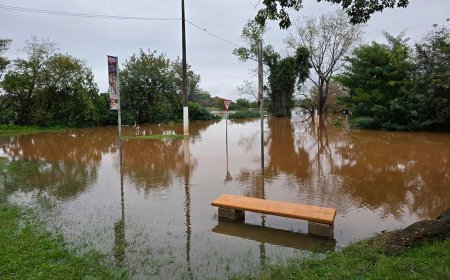 Hay 3000 desplazados en nueve departamentos, informa Sinae