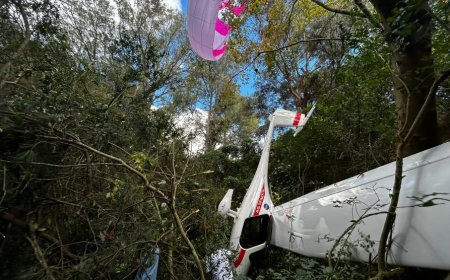 Cayó una avioneta civil en Marindia