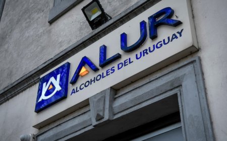 Alur: después de cuatro años “históricos”, se espera otra cosecha récord de caña de azúcar