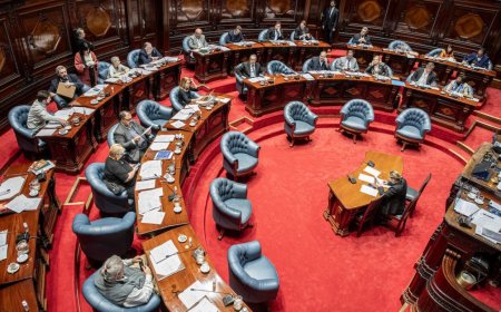 Senado aprobó ley de medios con votos del oficialismo