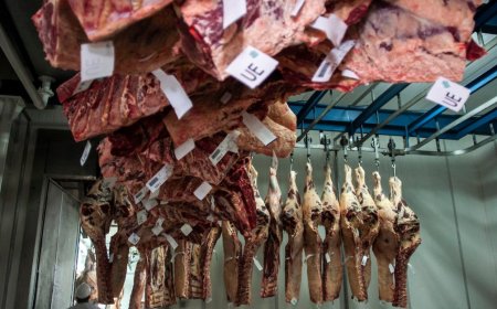 El Gobierno no habilitó a Minerva Foods a comprar tres plantas de Marfrig