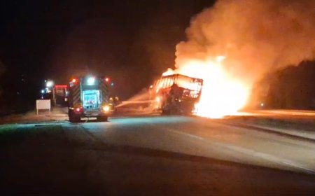 Se incendió un ómnibus en la ruta
