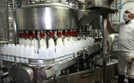 El sector lácteo podría mejorar sus ventas en u$s 100M si realiza una fuerte inversión en riego