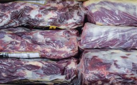 Fernando Mattos viajará a Asia en búsqueda de nuevos mercados