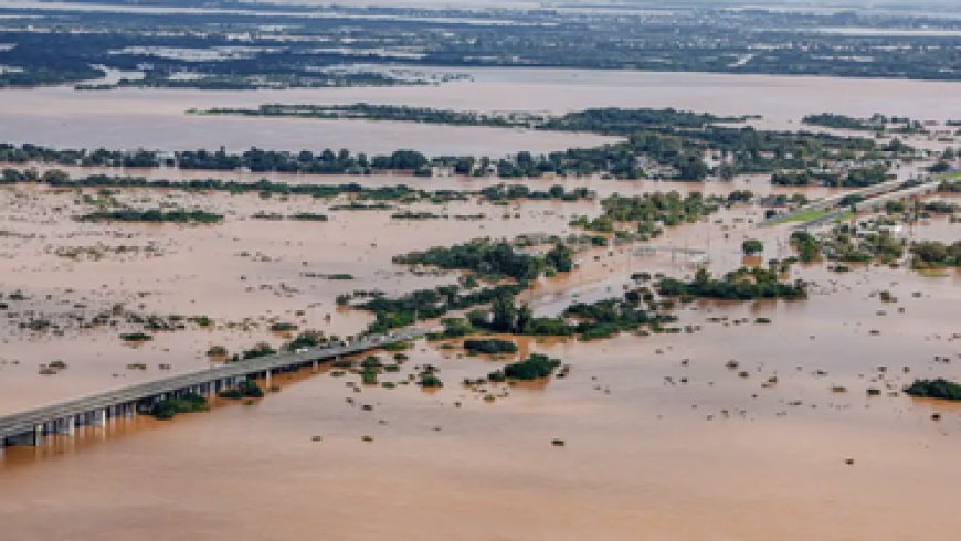Brasil autorizará la importación de arroz desde Uruguay por las inundaciones