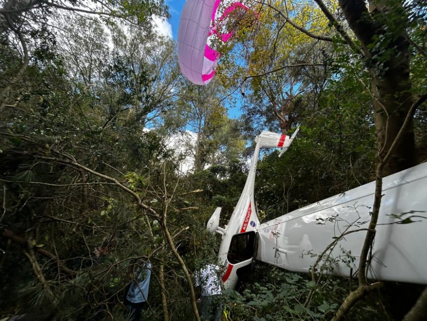 Cayó una avioneta civil en Marindia