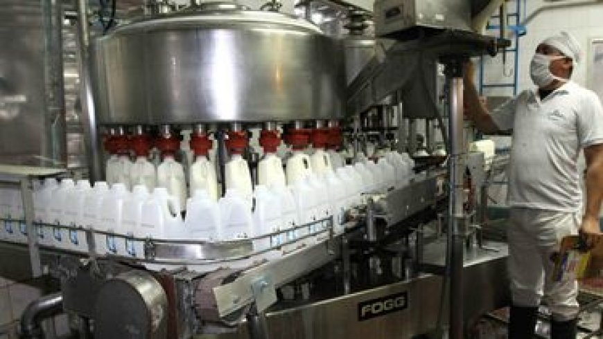 El sector lácteo podría mejorar sus ventas en u$s 100M si realiza una fuerte inversión en riego