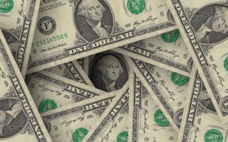 El dólar alcanzó su valor más alto en un mes y medio