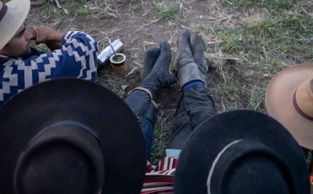 La población rural cayó de un 5% a un 4%, según censo agropecuario