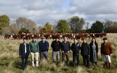 En el día de ayer visitó la estancia El Baqueano, una delegación de la embajada de China