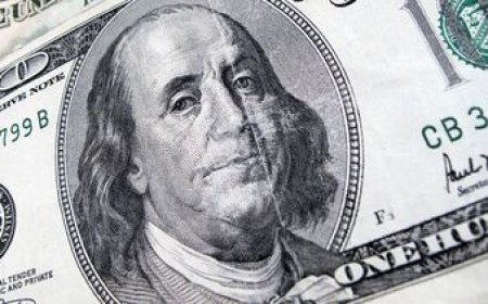 El dólar cerró a la baja, separándose del panorama internacional