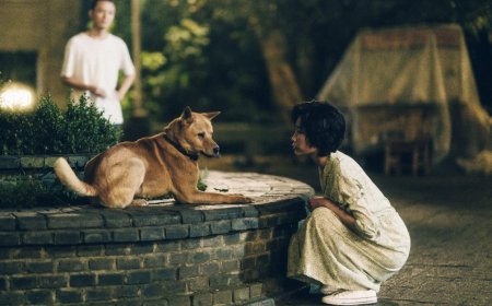 En cines se estrena la película “Hachiko 2”, la historia de un perro pastor chino