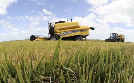 El rebote tras la sequía impulsó el PIB por encima de lo proyectado