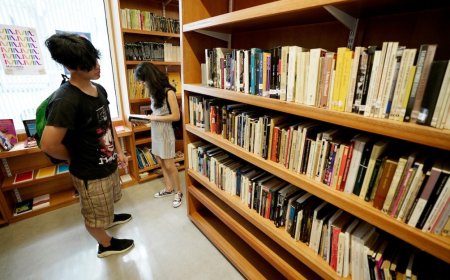 Se lanzó el programa Yo Estudio y Trabajo para el sector público