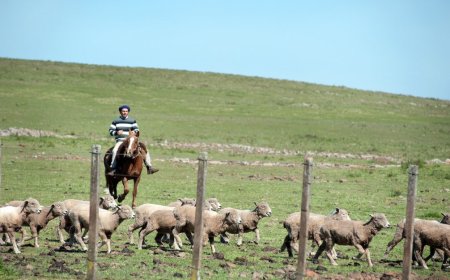 Federación Rural reclama mayor inserción internacional y más competitividad