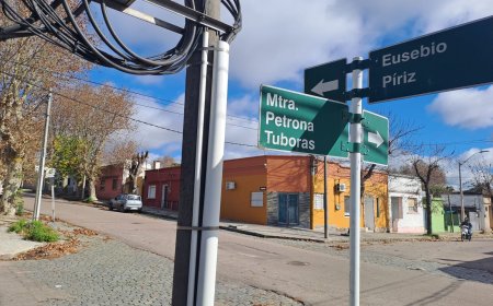Intendencia de Durazno continúa con la poda de plátanos en la Ciudad