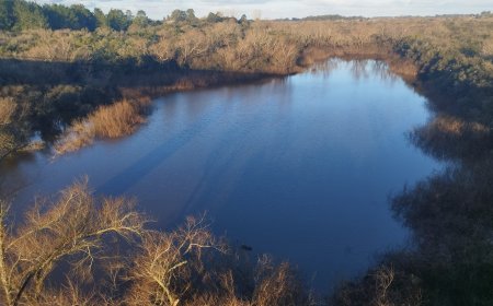 Hallazgo de una persona sin vidas en aguas del Río Yí.