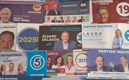 Elecciones internas 2024: ¿por qué es importante concurrir con las hojas de votación?