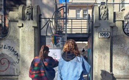 Ya votó el 25% del padrón en todo el país