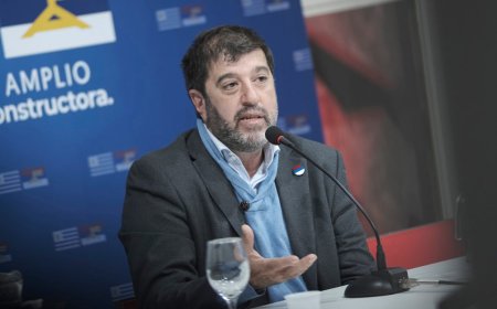 Plebiscito: Pereira dijo que «lo más probable» es que resuelvan «libertad de acción»