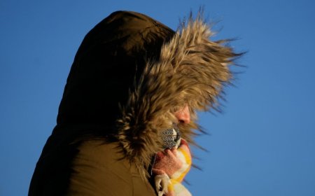 Inumet extendió aviso por ola de frío; prevé mínimas de -5ºC