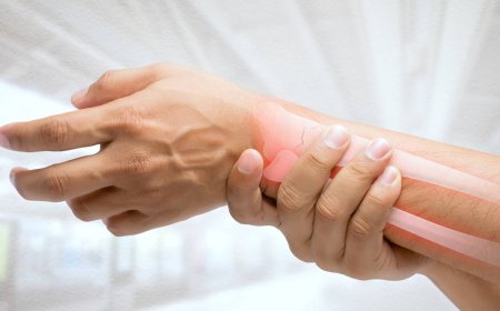 Descubren hormona que fortalece los huesos y podría revolucionar el tratamiento de la osteoporosis.