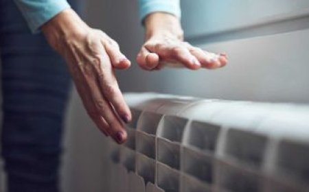 "Día tras días venimos batiendo el récord de consumo eléctrico", dijo la presidenta de UTE