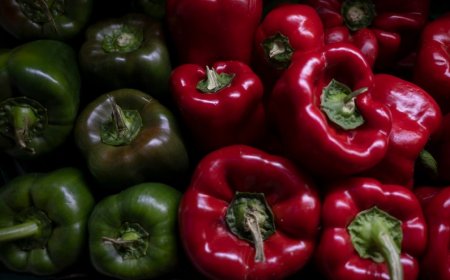 Ola polar empezó a impactar en el precio de las verduras