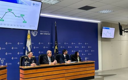 Ministerio de Interior destacó baja de homicidios, hurtos, rapiñas y abigeato