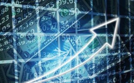 El dólar cerró la semana en su valor máximo en más de 20 meses