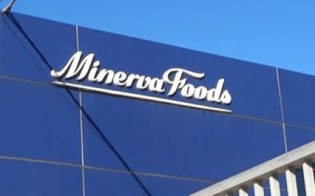 Minerva - Marfrig: ¿en qué estado se encuentra la fusión de los frigoríficos brasileños?