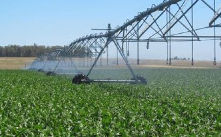 El Censo Agropecuario ya relevó el 70% de la superficie rural